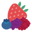 Mixed Berries