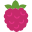 Raspberry